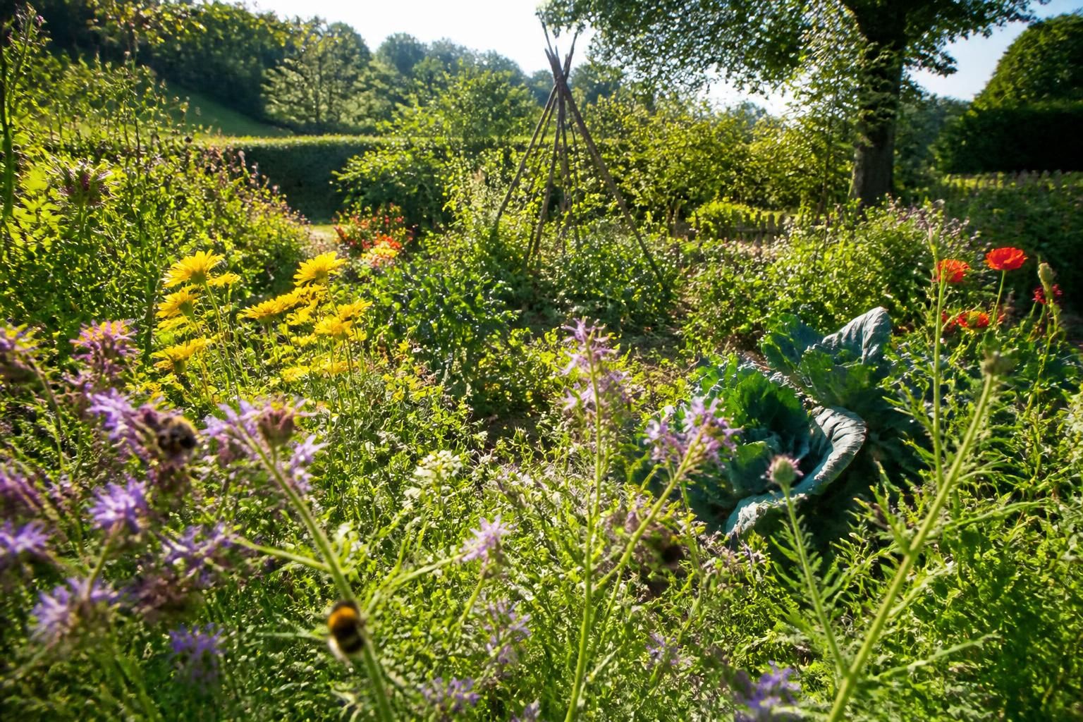 découvrez pourquoi l'abeille est l'alliée essentielle des jardins écologiques, grâce à son rôle crucial dans la pollinisation et la préservation de la biodiversité.