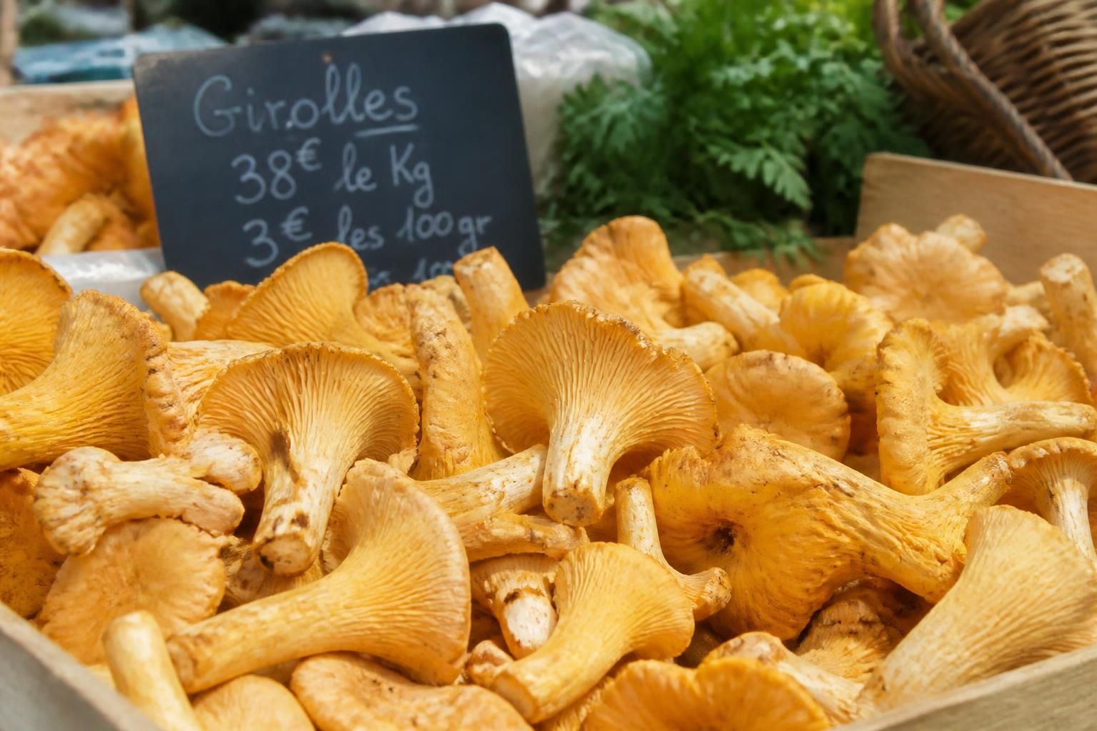 découvrez la girolle, ce champignon d'exception qui sublime vos plats avec saveur et élégance. apprenez ses secrets pour des recettes gourmandes et raffinées.